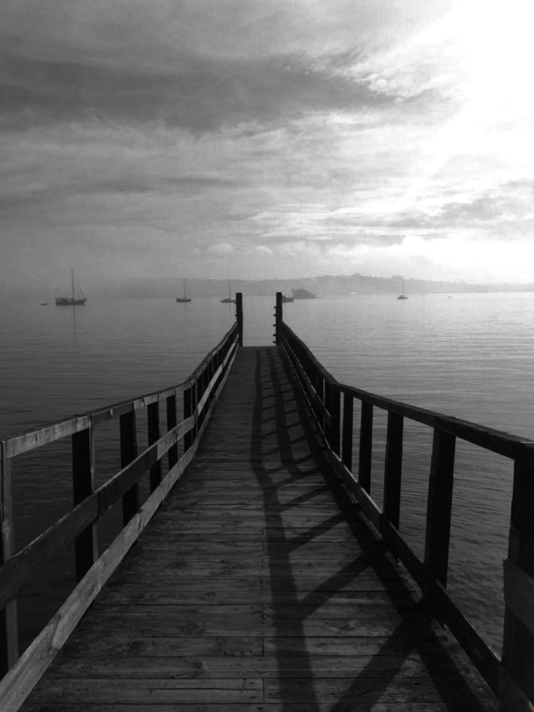 The Bay